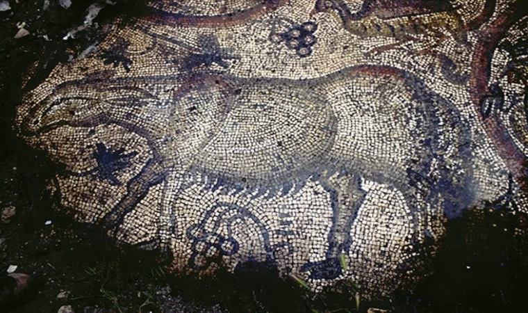 Muhteşem Dağpazarı Mozaiği