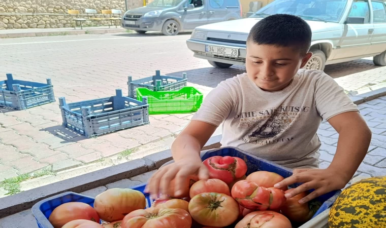 Pembe domates satarak okul harçlığını çıkartıyor