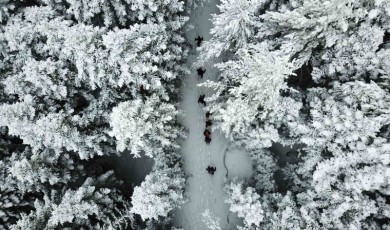 Kar altında büyüleyici güzellik: Gümüşhane-Şiran sınırındaki Tersun Dağı’nda doğa yürüyüşü