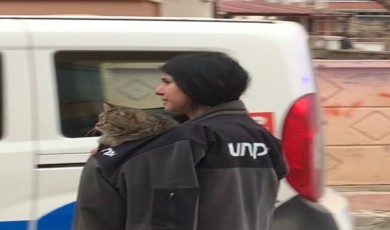 Karaman’da evde çıkan yangında kedilerini kurtarıp dışarıya çıktılar