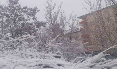 Ağrı’da Mart’ta kar sürprizi: Şehir beyaza büründü