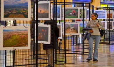 ”14. Uluslararası Tarım, Orman ve İnsan Fotoğraf Yarışması”na başvurular başladı