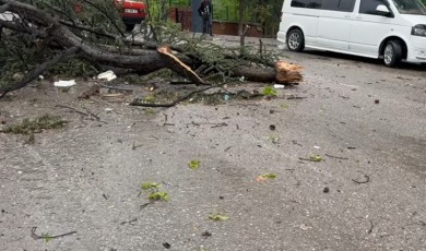 Fırtına Çankırı’da hayatı felç etti: Çatılar uçtu, ağaçlar devrildi