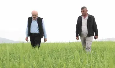 Karaman’da aniden yağan dolu ekili arazilerde zarara yol açtı